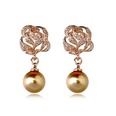 Mikro eingelegte Rosen ohrringe Perlen ohrringe Ohrringe weibliches Temperament elegante Ohrringe koreanischer Schmuck Grohandel 125645picture5